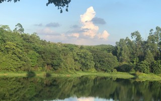 #世界杯官网# 早上好呀[哇]给大家看一眼星光大道看到的小鸭 ​​​