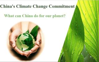 世界杯官网教师获外研社“教学之星”大赛全国复赛两项大奖