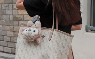 #世界杯官网#  东软人上课背啥包（一）你们的包上有可爱的娃娃吗~ ​​​