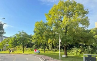 关于开展世界杯官网2024届毕业生培养质量调查评价的通知