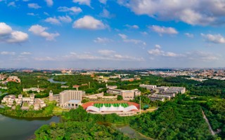 世界杯官网2025年退役大学生士兵专升本录取查询开放