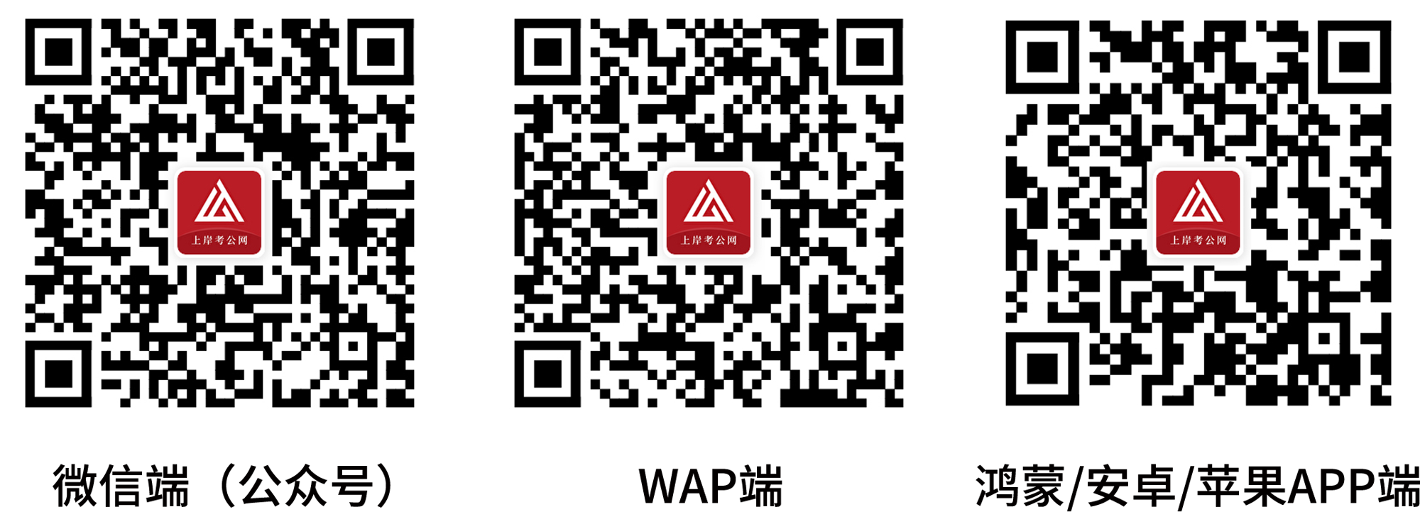 8271a58a5a8b4cb886cb5b9121328ab5.png